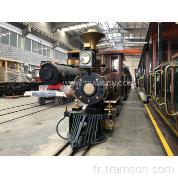 Train de chemin de fer de parc d&#39;attractions populaire